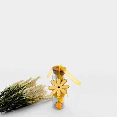 Candy box with daisy