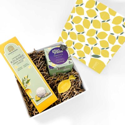 LEMON SQUEZZE sum26 12 Καλοκαιρινά Εταιρικά Δώρα